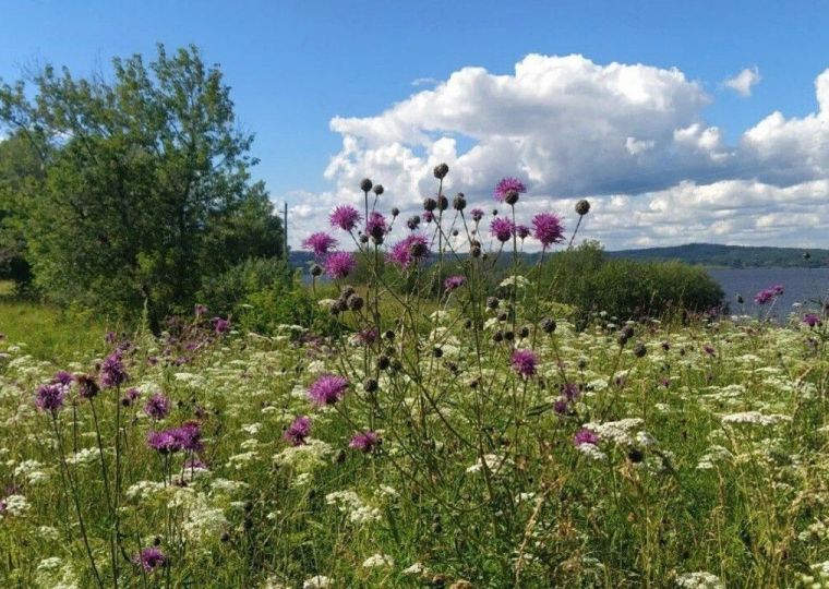 В Перми обсудят разрешения на использование земельных участков
