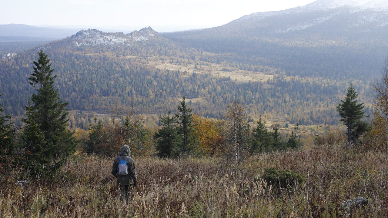 ​Идет систематизация данных, накопленных о заповеднике «Басеги»