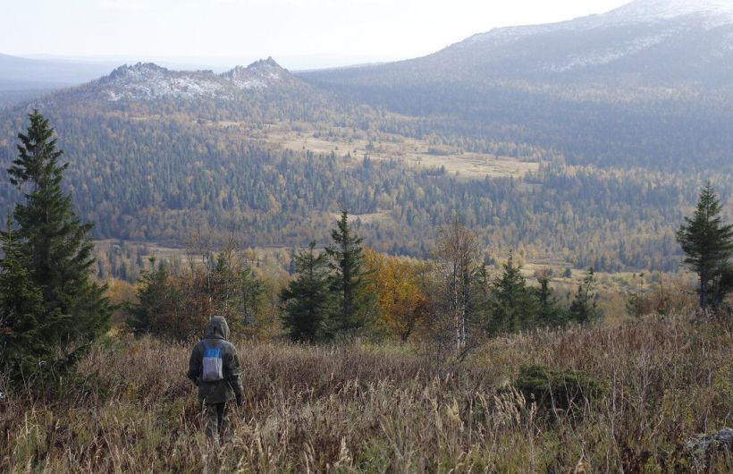 ​Идет систематизация данных, накопленных о заповеднике «Басеги»