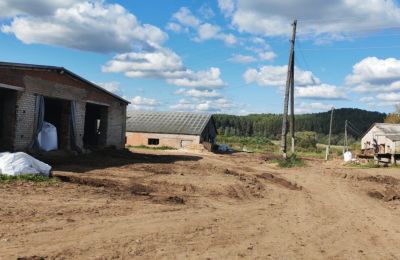 В Карагайском округе сельхозпредприятие оштрафовали за нарушения при содержании скота