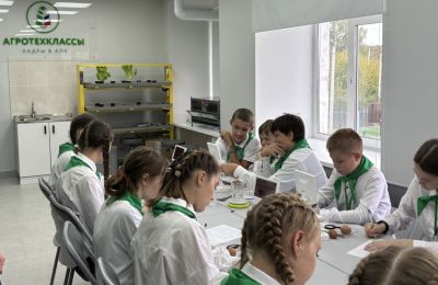 В Прикамье открыли два новых агрокласса