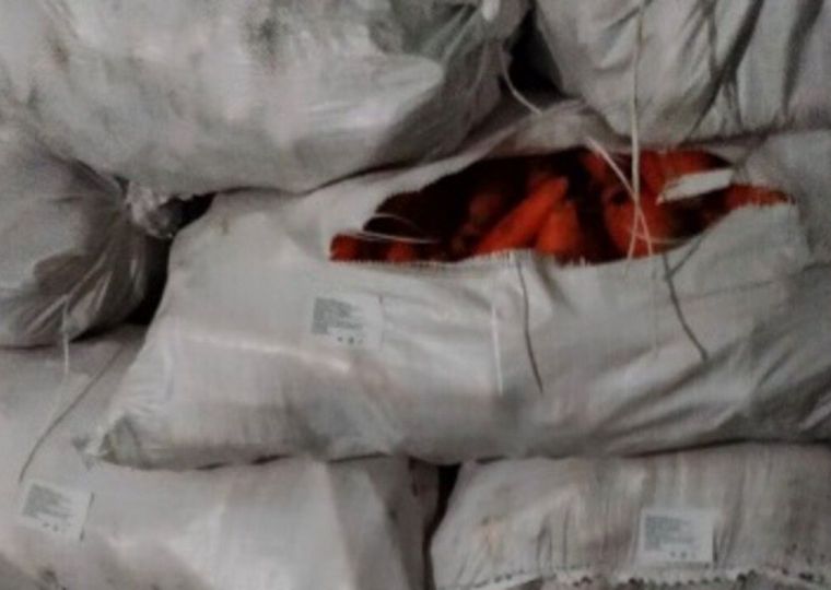 ​В Пермский край впервые за год завезли крупную партию моркови из Киргизии