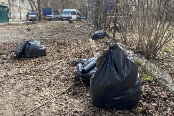 ​В Перми пройдет общегородской субботник