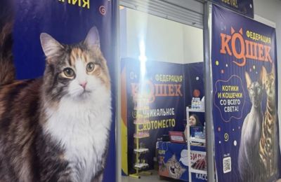 ​В Соликамске предпринимателя оштрафовали за использование животных без обязательной лицензии