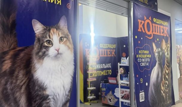 ​В Соликамске предпринимателя оштрафовали за использование животных без обязательной лицензии