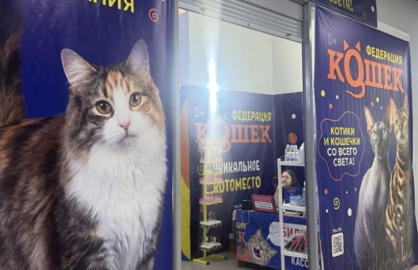 ​В Соликамске предпринимателя оштрафовали за использование животных без обязательной лицензии