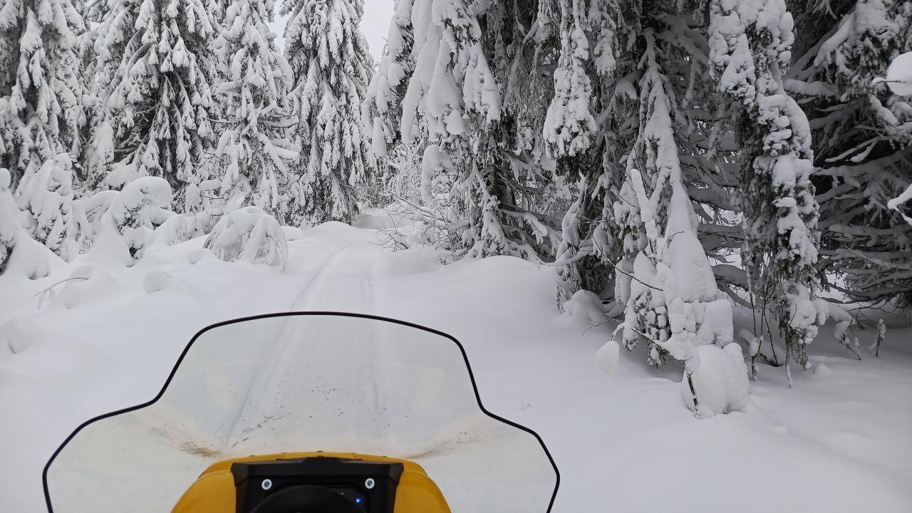 ​В минздраве Прикамья рассказали о состоянии выжившего туриста из Уфы