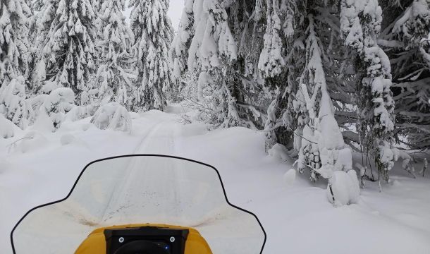 Спасатели нашли троих пропавших в Красновишерском округе туристов из Уфы, двое из них погибли