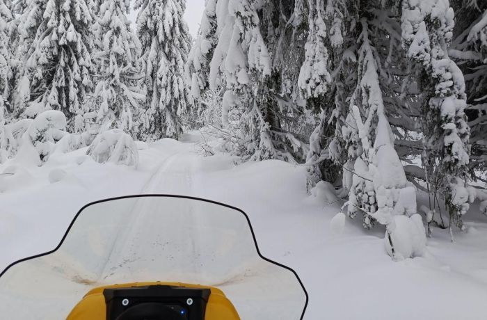 ​В минздраве Прикамья рассказали о состоянии выжившего туриста из Уфы