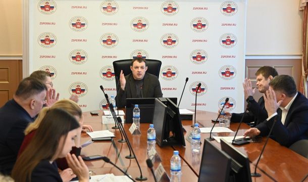 В Прикамье самозанятым таксистам разрешат ездить на иномарках