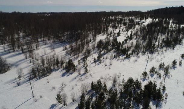 ​В Кунгурском округе с помощью дронов выявили зарастание сельхозземель на площади более 90 гектаров