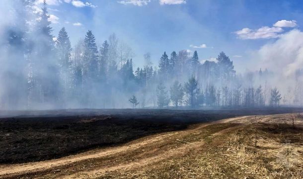 40 лесных пожаров произошло в Прикамье в 2024 году