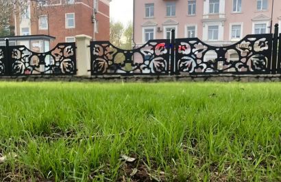 В Перми установят нормативы высоты газонов на частных участках