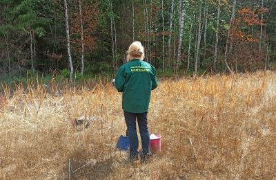 Прикамцу придется выплатить 89 млн рублей за нанесение вреда почве