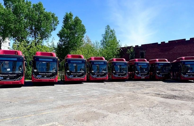 48 новых автобусов покоряют дороги Прикамья: комфорт для пассажиров
