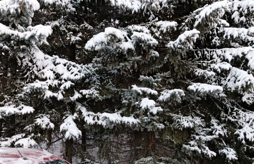 ​Конец декабря в Прикамье пройдет с умеренными морозами