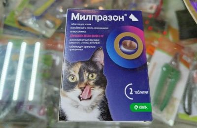 В Перми предпринимателя оштрафовали за продажу ветпрепаратов без лицензии