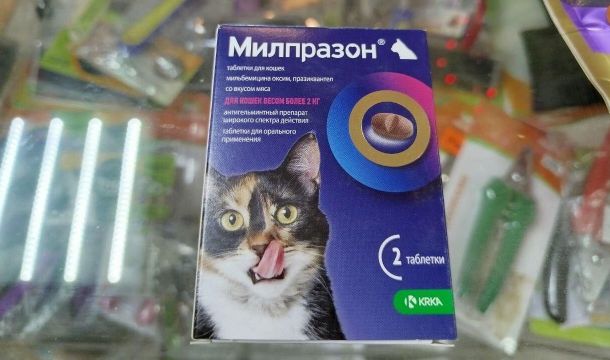 В Перми предпринимателя оштрафовали за продажу ветпрепаратов без лицензии