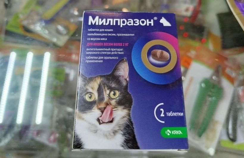 В Перми предпринимателя оштрафовали за продажу ветпрепаратов без лицензии