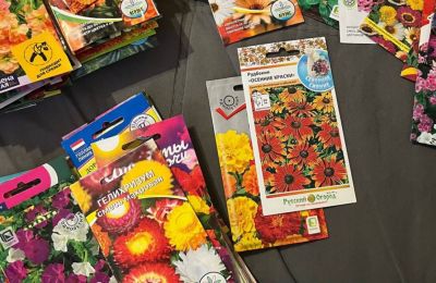 Чем заняться садоводу в огороде и дома в первый месяц весны