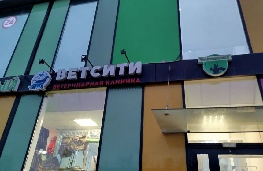 Суд оштрафовал пермского предпринимателя за продажу ветпрепаратов без лицензии