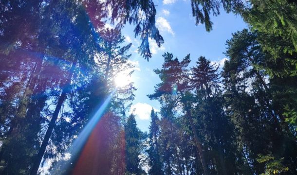 Министерство природных ресурсов Прикамья подвело итоги работы за 2025 год и обозначило планы на 2026 год