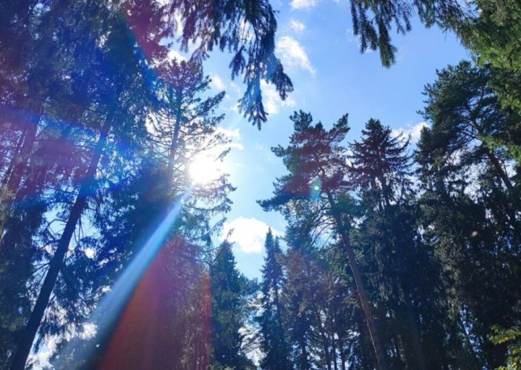 Министерство природных ресурсов Прикамья подвело итоги работы за 2025 год и обозначило планы на 2026 год