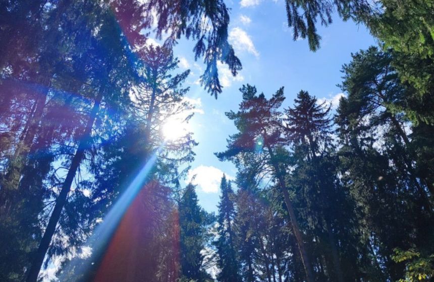 Министерство природных ресурсов Прикамья подвело итоги работы за 2025 год и обозначило планы на 2026 год