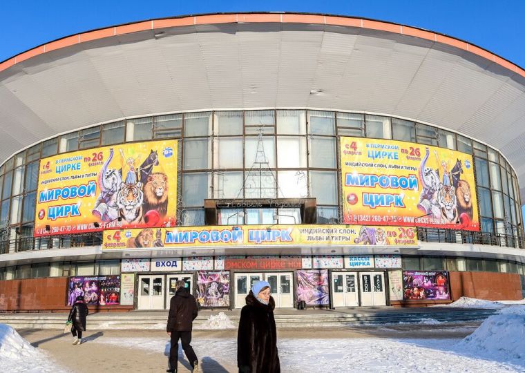 Это вам не шапито! Пермскому цирку – 120 лет