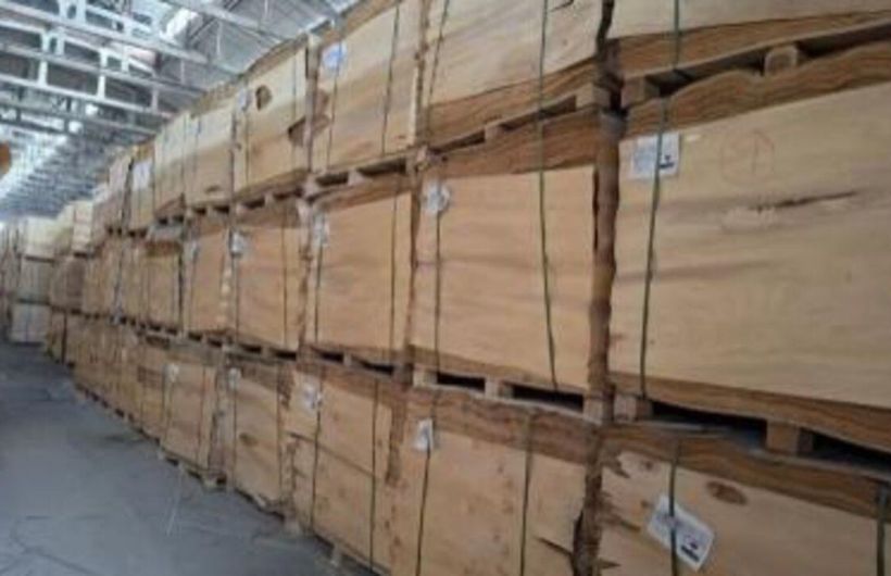 Экспорт березового шпона из Пермского края в Китай вырос на 18%