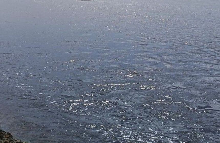 Режим повышенной готовности ввели в Октябрьском округе из-за дождевого паводка