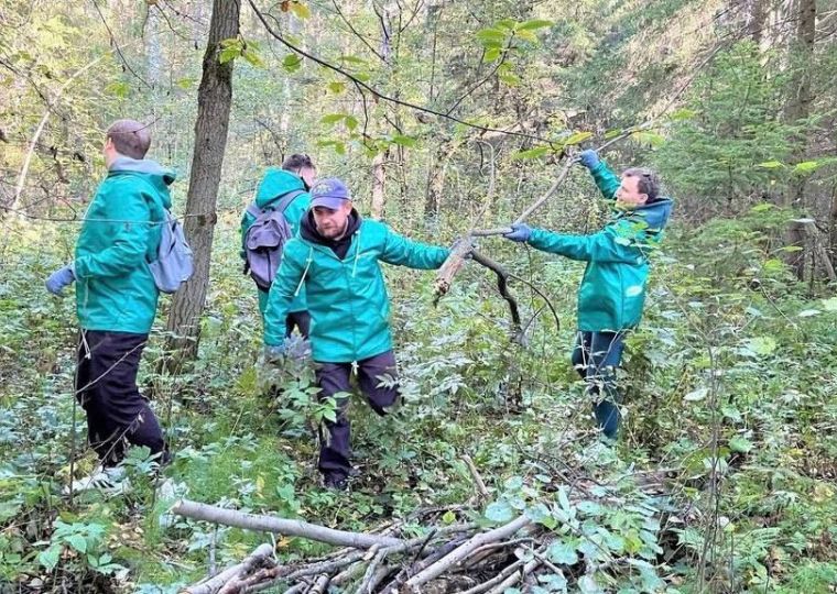 В Перми волонтеры проводят слет «Очистим Черняевский лес»