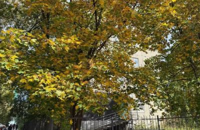 Неделя с 7 по 13 сентября будет теплее нормы в Пермском крае