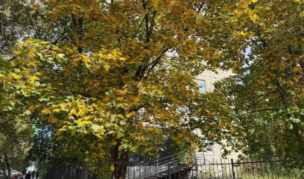 Неделя с 7 по 13 сентября будет теплее нормы в Пермском крае