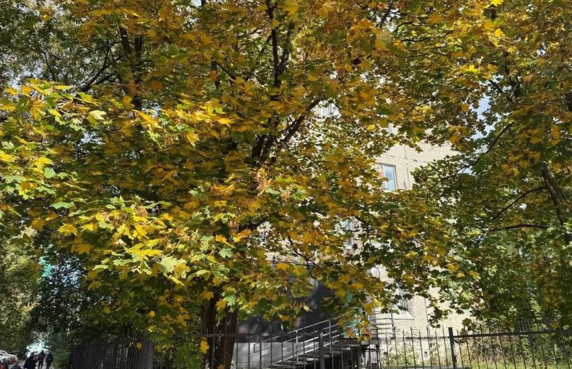 Неделя с 7 по 13 сентября будет теплее нормы в Пермском крае