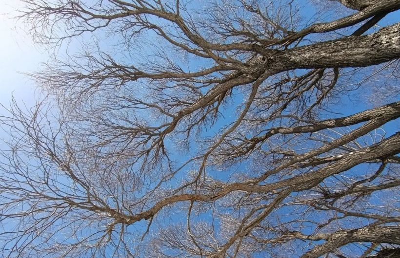 ​Постепенное потепление после волны холода и осадков ожидается в Пермском крае