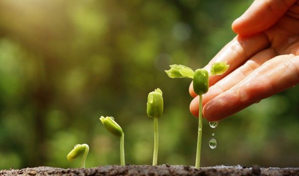 ​В Пермском крае выявлены нарушения при посеве 950 тонн семян