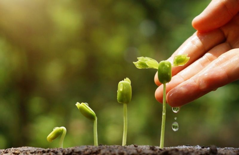 ​В Пермском крае выявлены нарушения при посеве 950 тонн семян