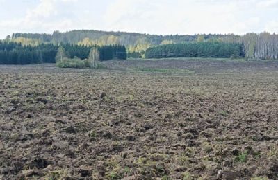 В Ординском округе участок площадью 150 га вернули в сельхозоборот