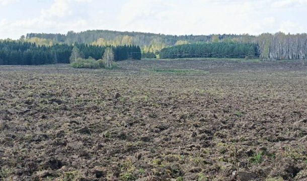 В Ординском округе участок площадью 150 га вернули в сельхозоборот