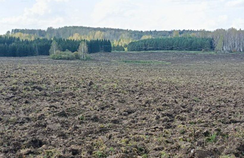В Ординском округе участок площадью 150 га вернули в сельхозоборот
