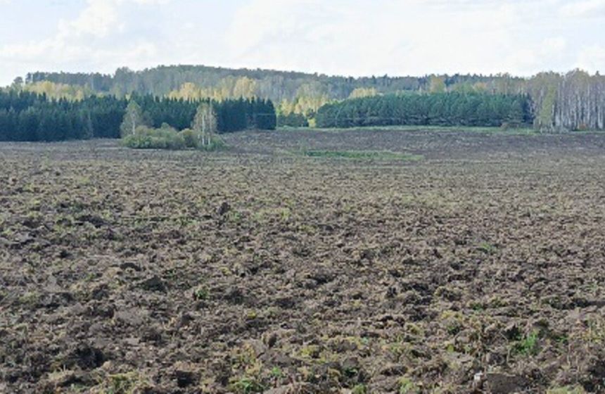 В Ординском округе участок площадью 150 га вернули в сельхозоборот