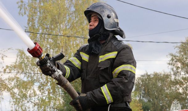 В Прикамье с начала года зарегистрировали 82 ландшафтных пожара