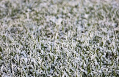 ​В Пермском крае 5 ноября прогнозируют сильные осадки, порывистый ветер и гололед