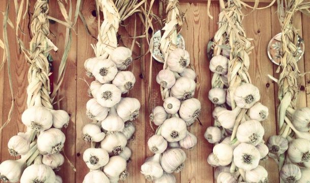 Полезные советы: как сохранить в домашних условиях семена и чеснок