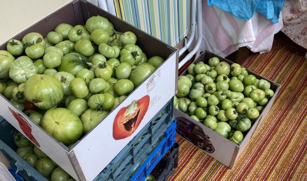 Как сохранить урожай, чтобы баловать себя своими овощами до весны