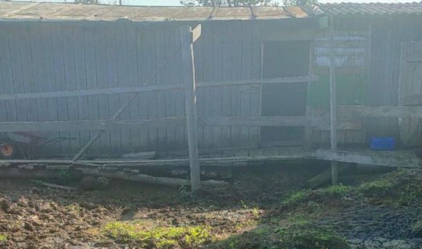 В Чусовском округе 15 предпринимателей получили предупреждения за нарушения при содержании скота