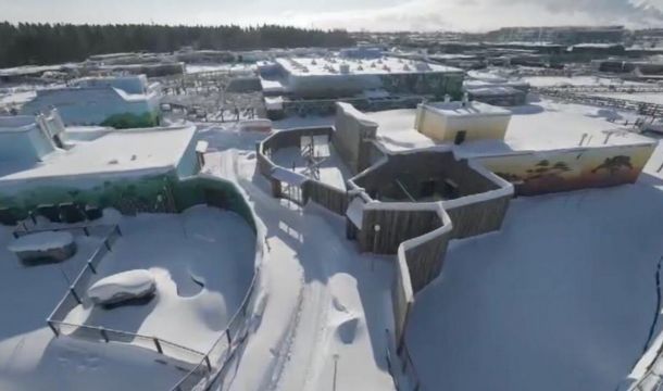 ​Пермский зоопарк переходит на весенний режим работы