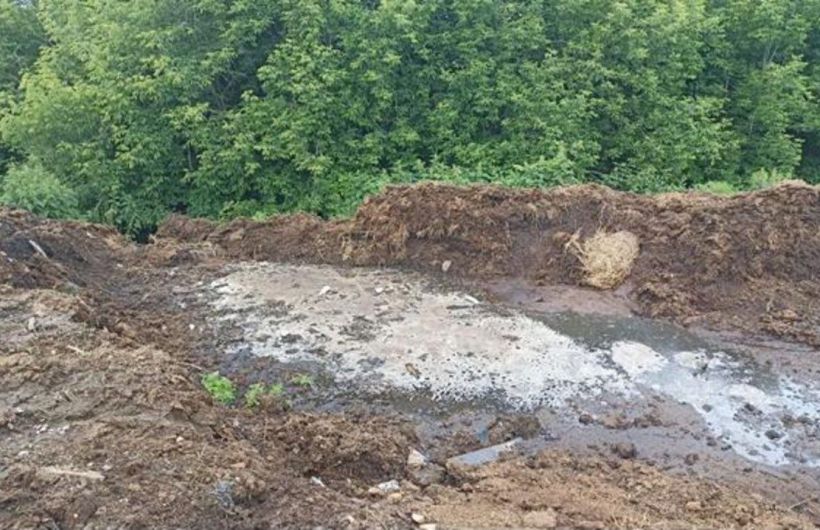 В Перми оштрафовали гражданина за нарушения при содержании скота
