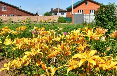 Что нужно знать прикамским садоводам о возможностях газификации домов в СНТ